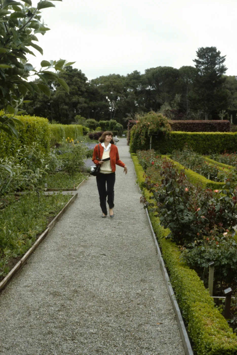 Trip to Filoli