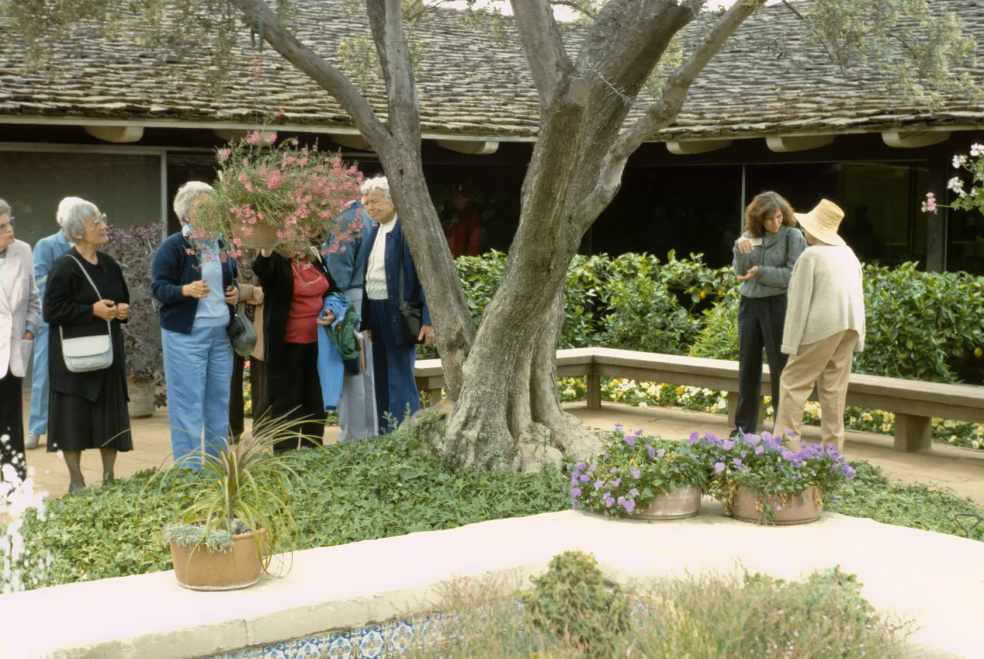 Trip to Filoli