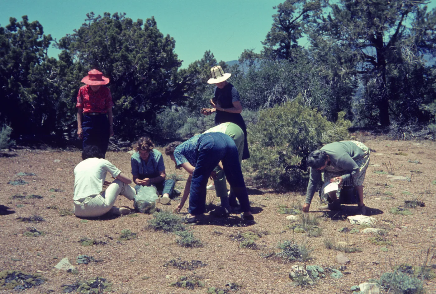 Lockwood Valley Trip