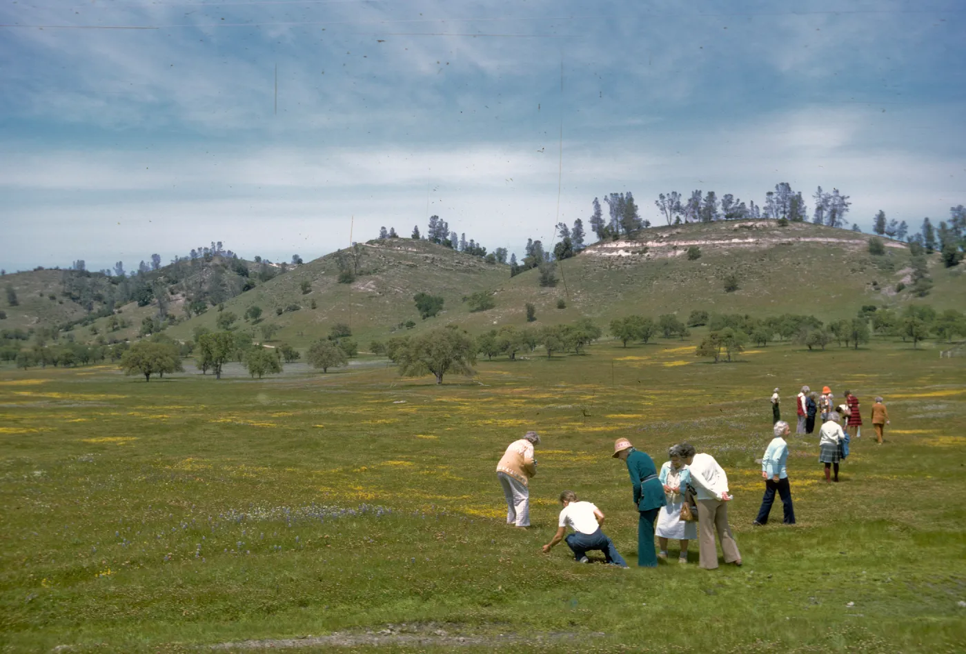 Stop at Jolon, Monterey Coast Wetland Trip