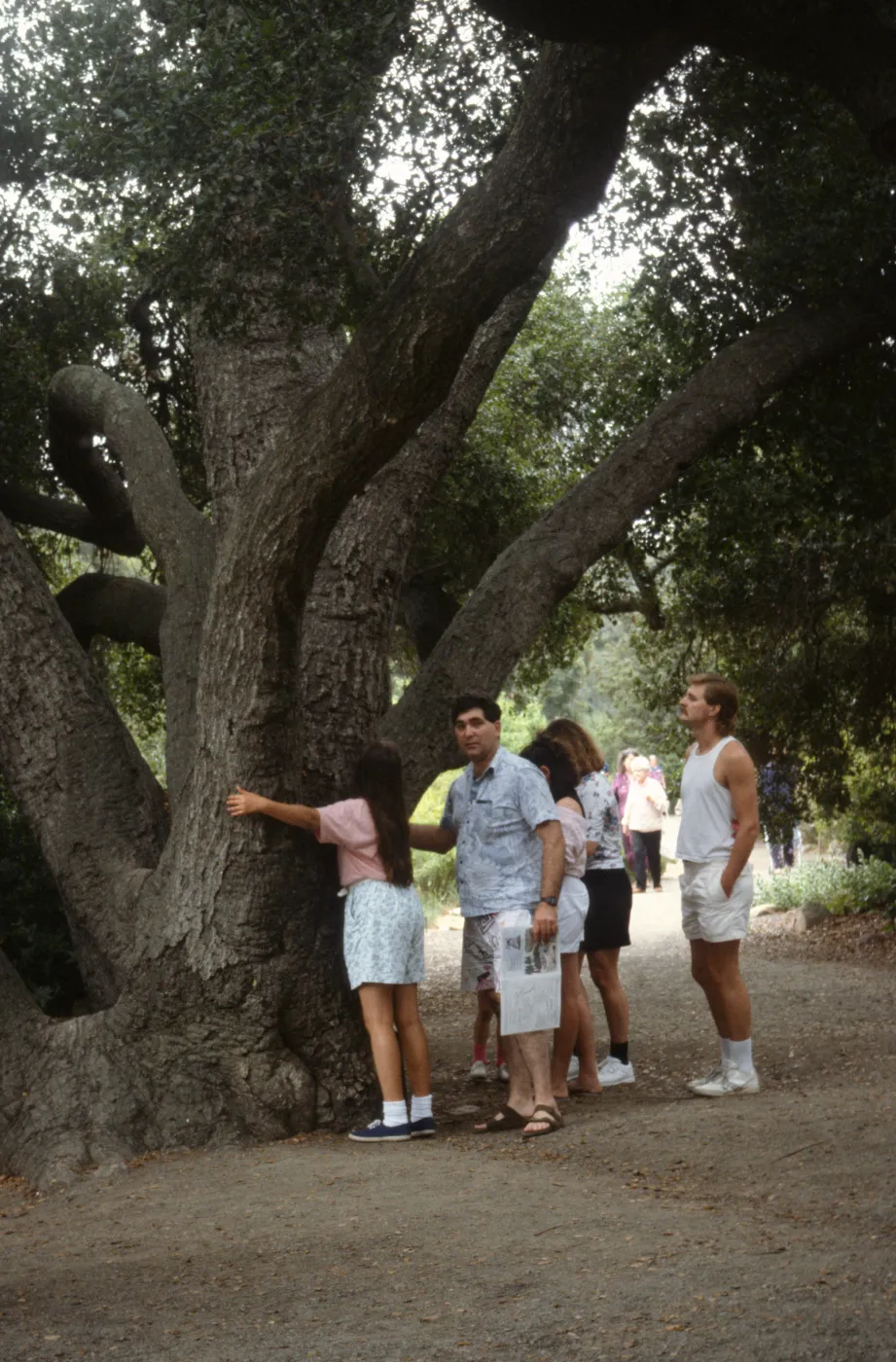 Nature Loves a Detective 1992