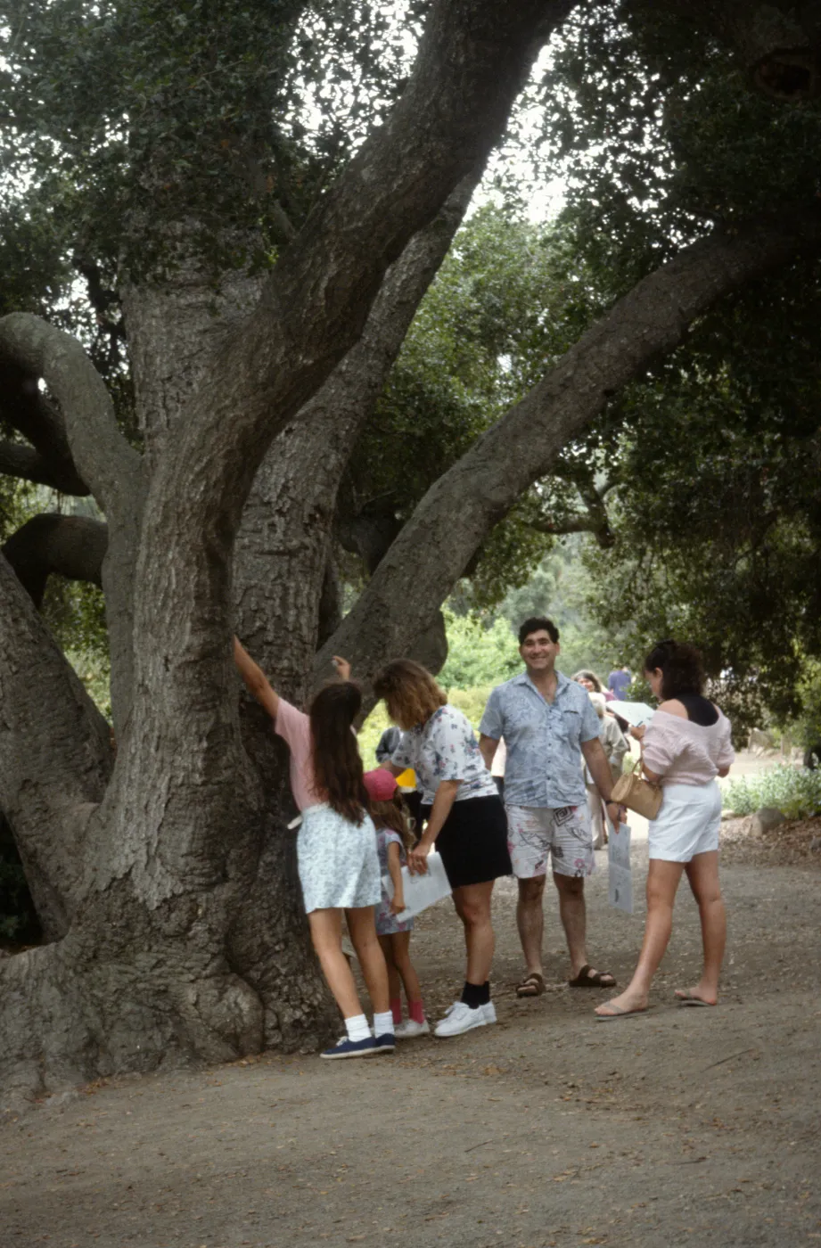 Nature Loves a Detective 1992