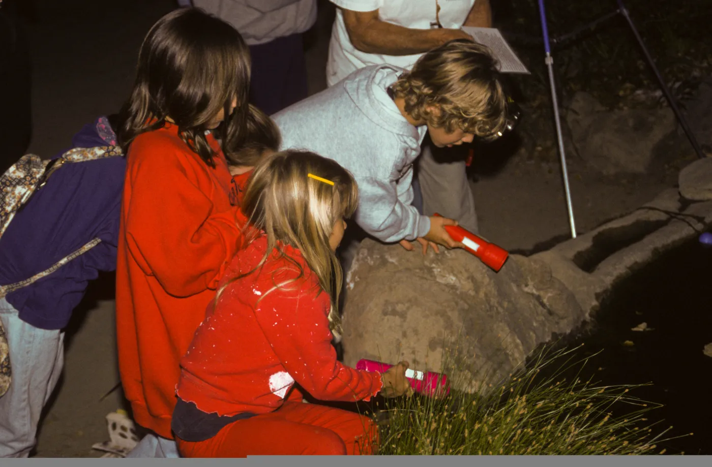 Great Garden Nature Night 1995