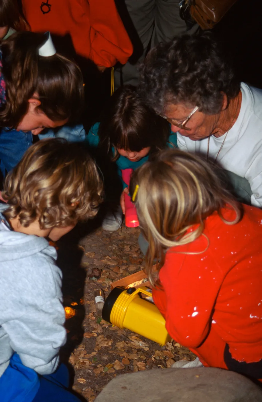 Great Garden Nature Night 1995, Avis Keedy