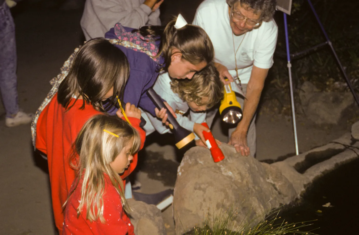 Great Garden Nature Night 1995, Avis Keedy