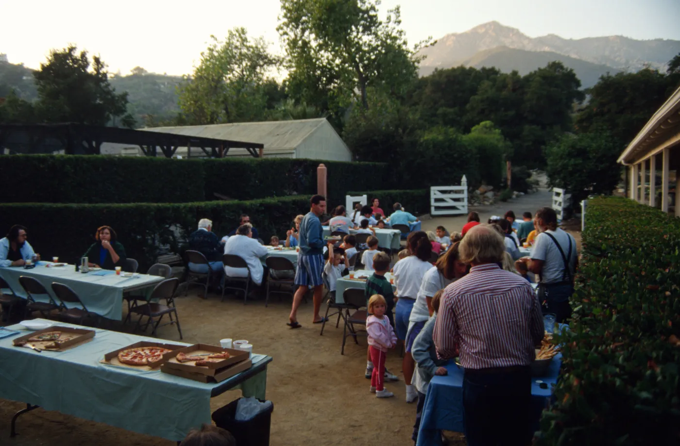 Nature Night 1993