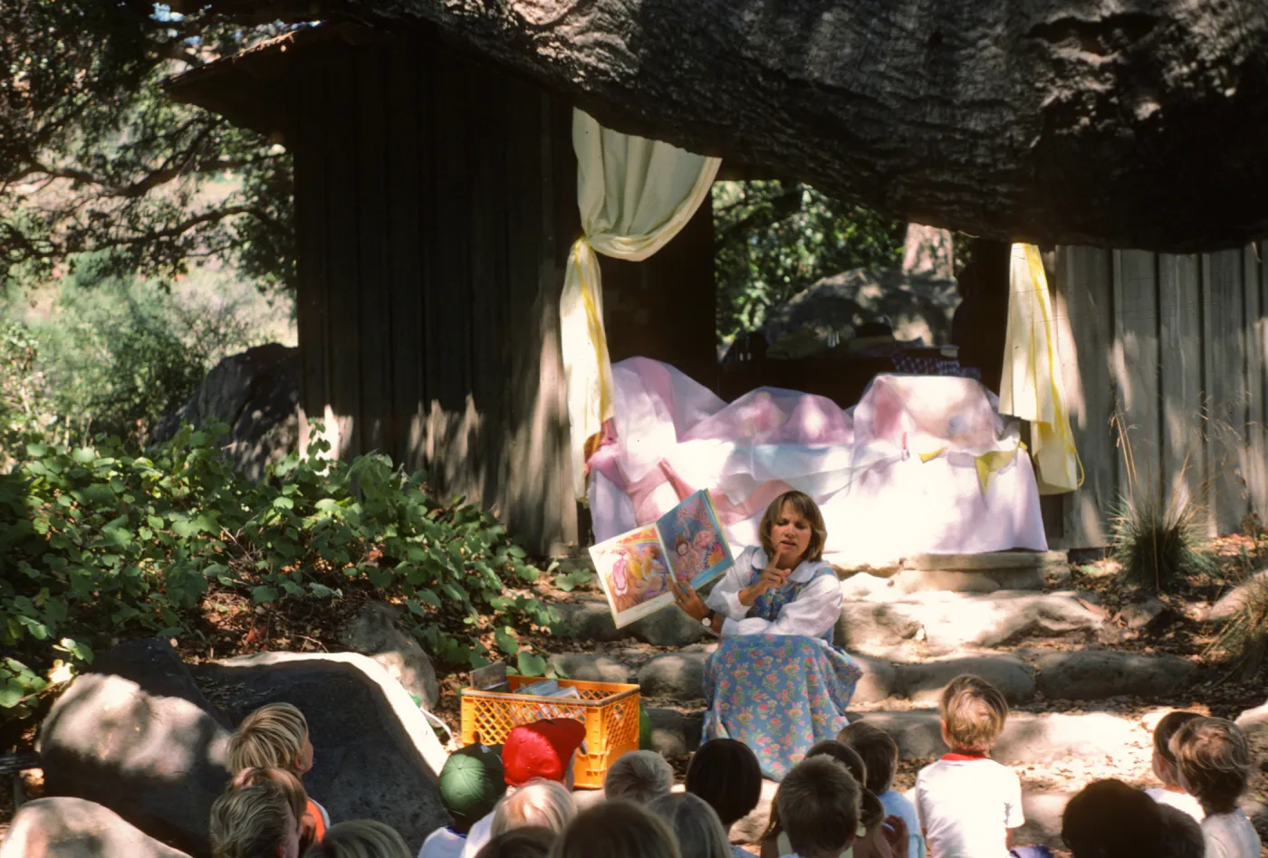 Summer's End Book Fair 1987