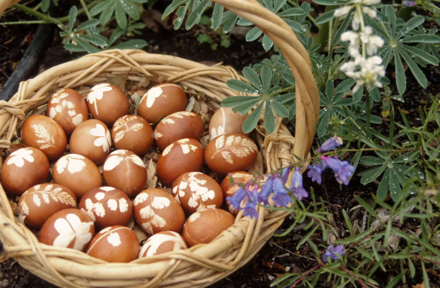 Eggstravaganza 1996