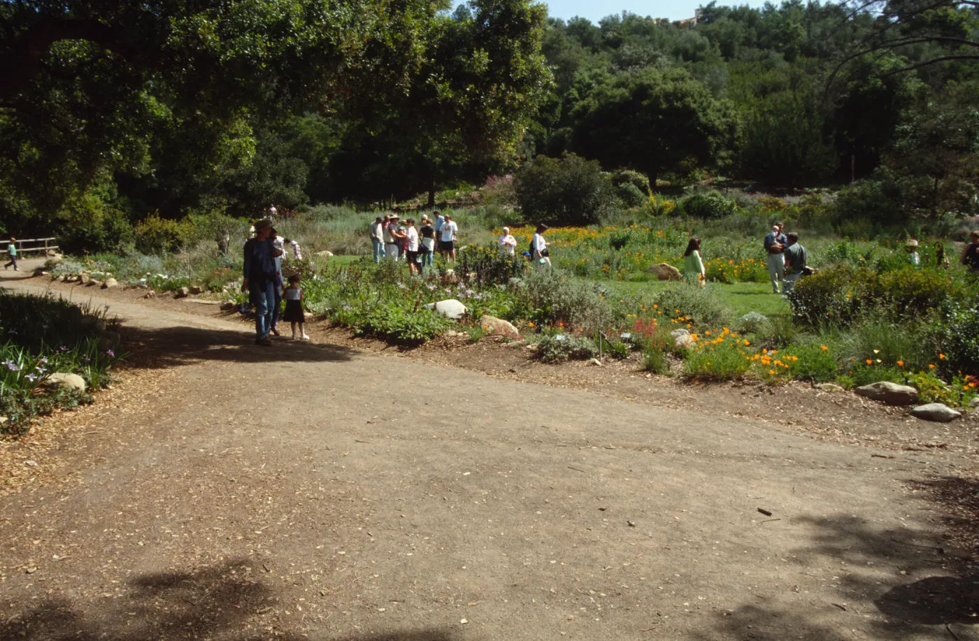Egg Hunt 2001