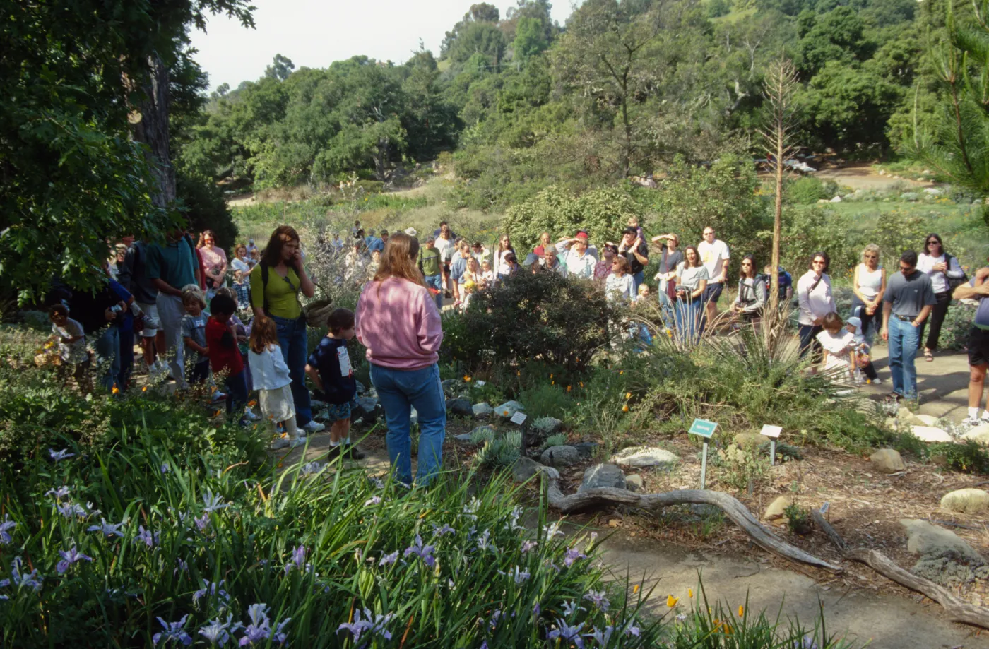 Egg Hunt 2001