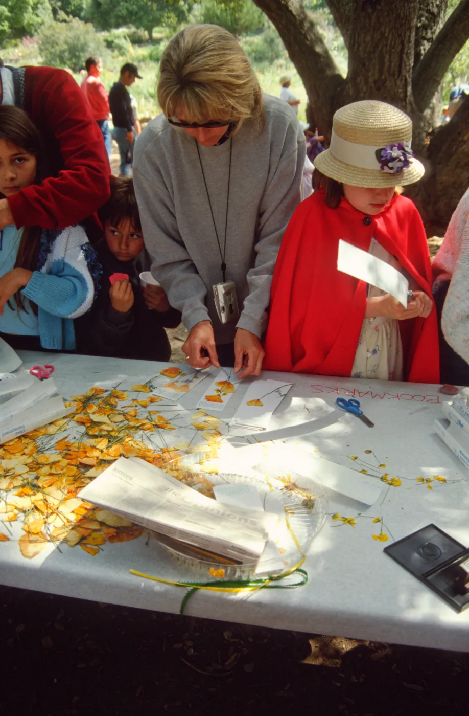 Egg Hunt 2001