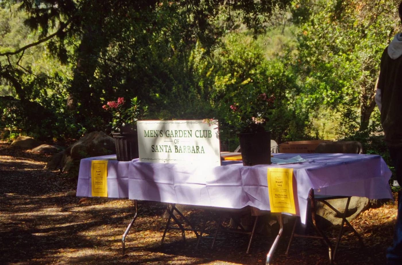 Wildflower Festival 1994