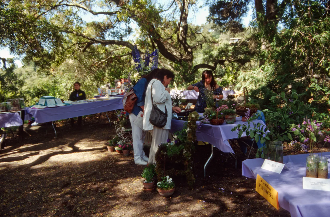 Wildflower Festival 1994