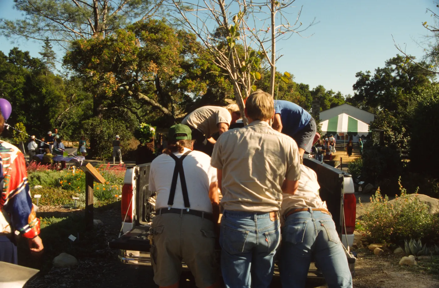 Wildflower Festival 1994
