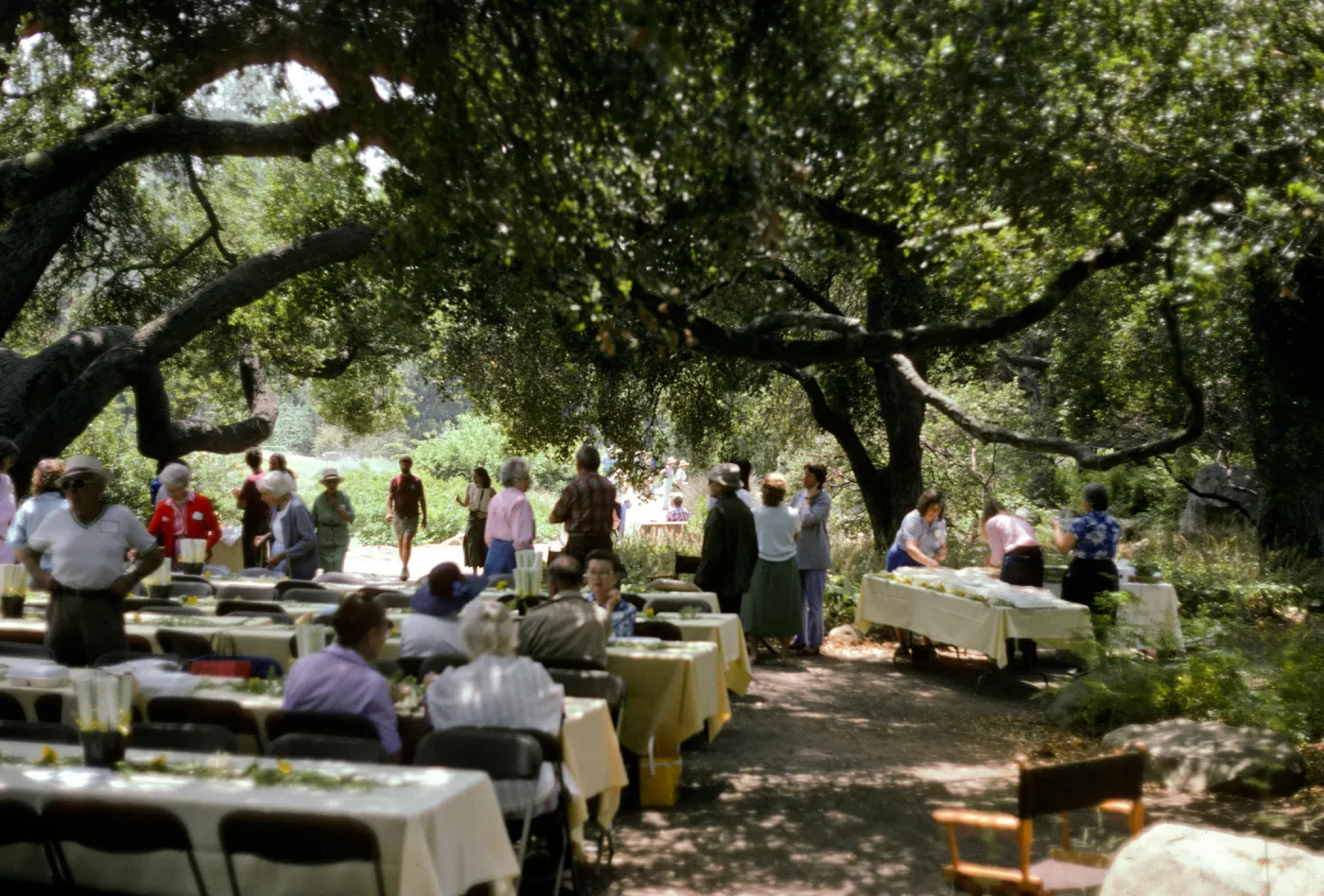 Spring Celebration 1987