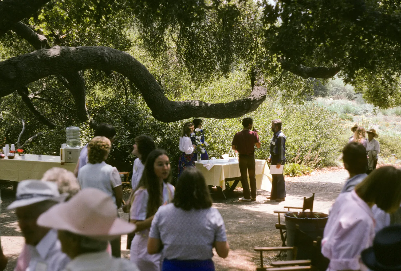 Spring Celebration 1987