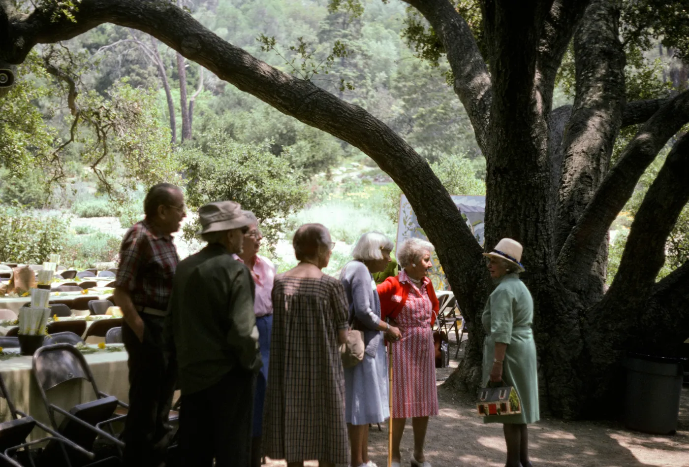 Spring Celebration 1987