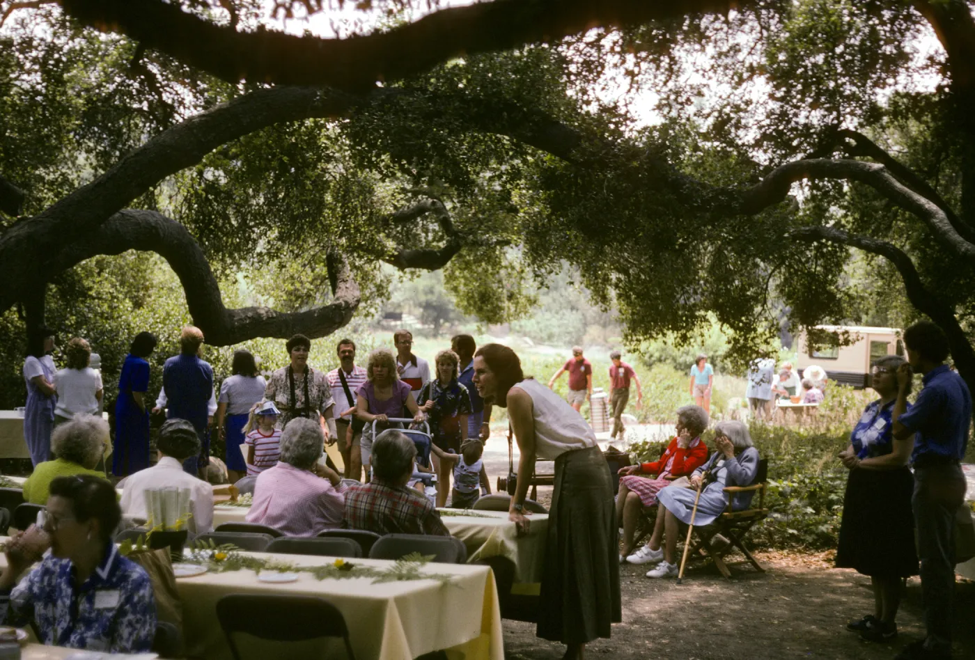 Spring Celebration 1987
