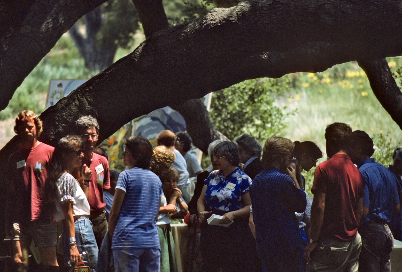 Spring Celebration 1987