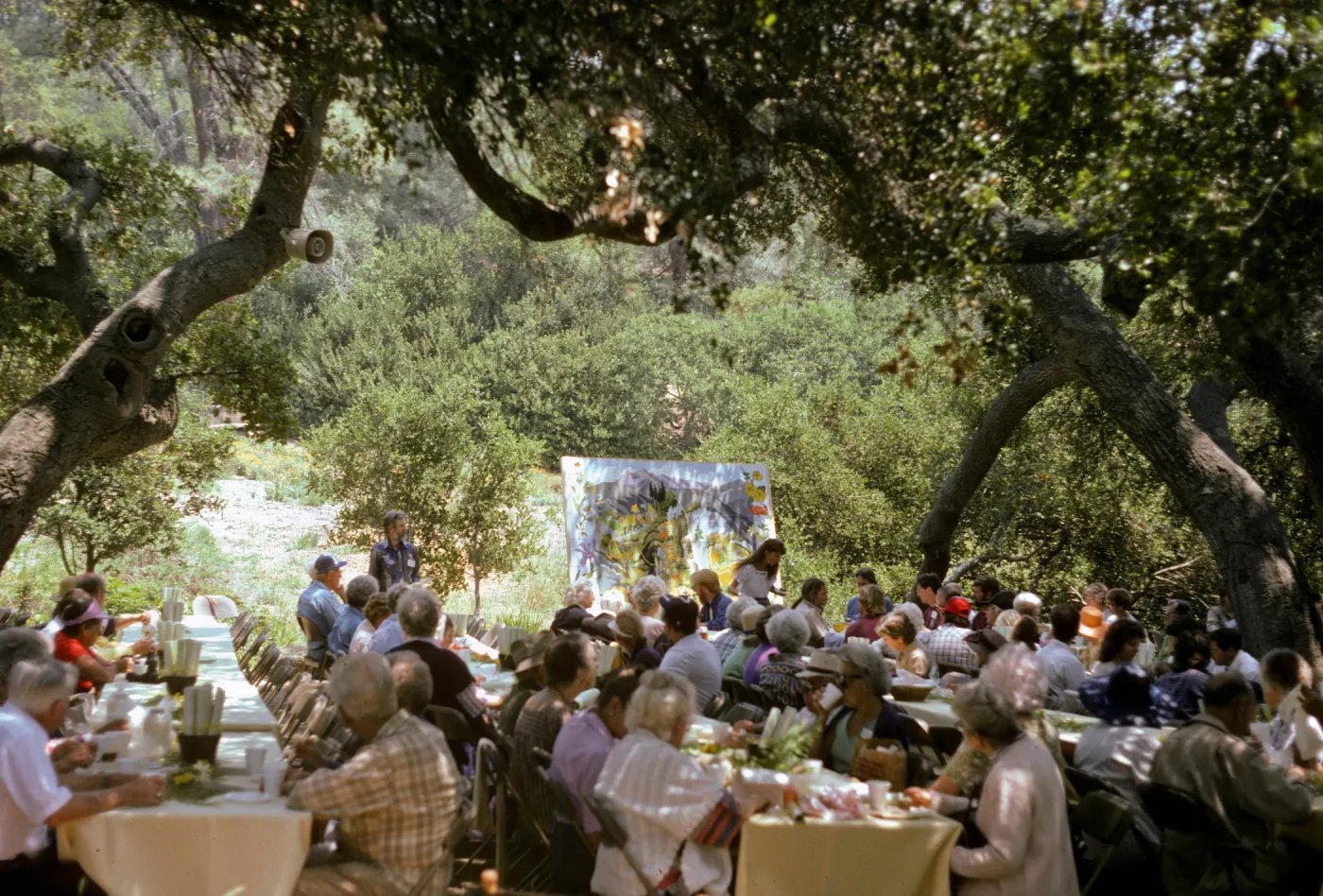 Spring Celebration 1987