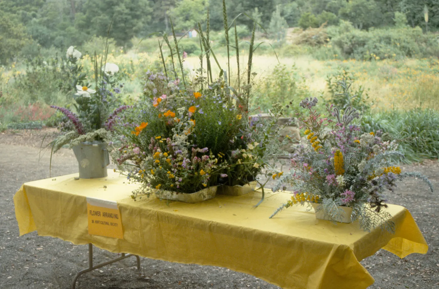 Wildflower Day 1992