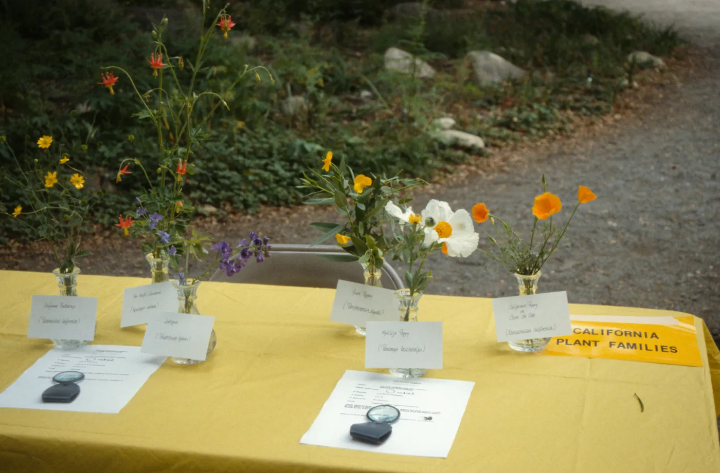 Wildflower Day 1992
