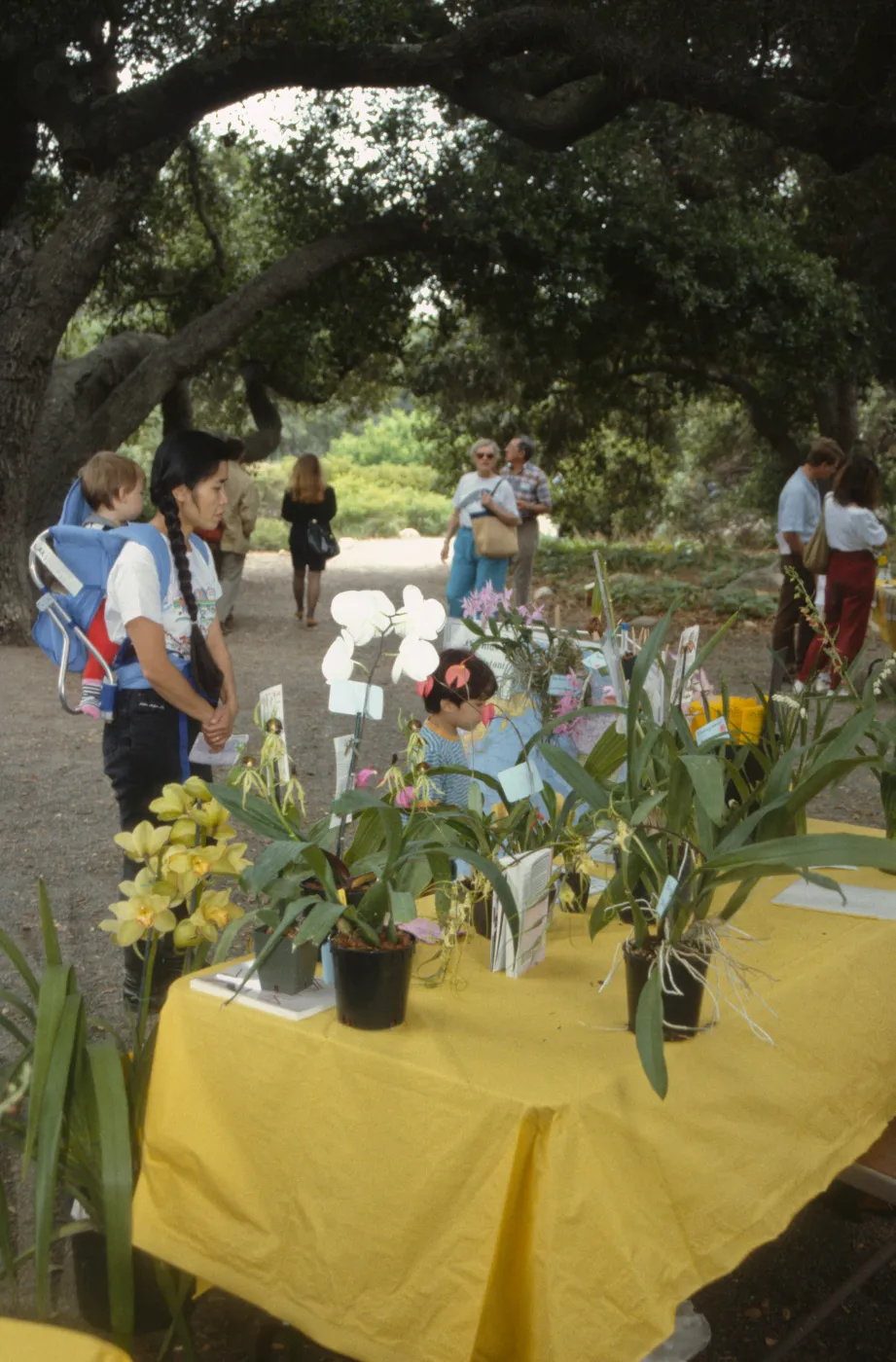 Wildflower Day 1992