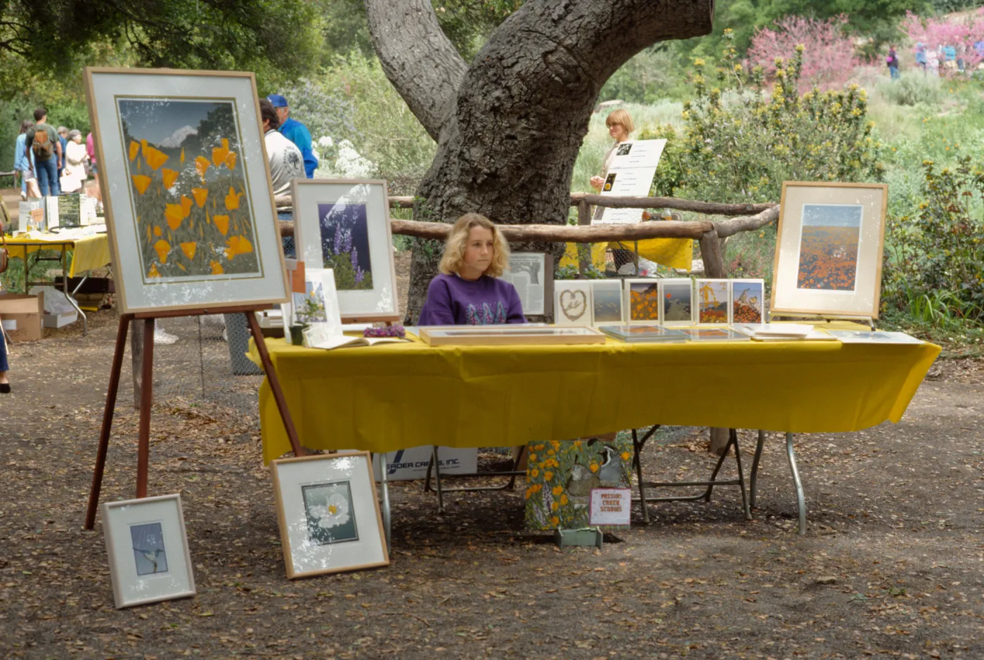 Wildflower Day 1993