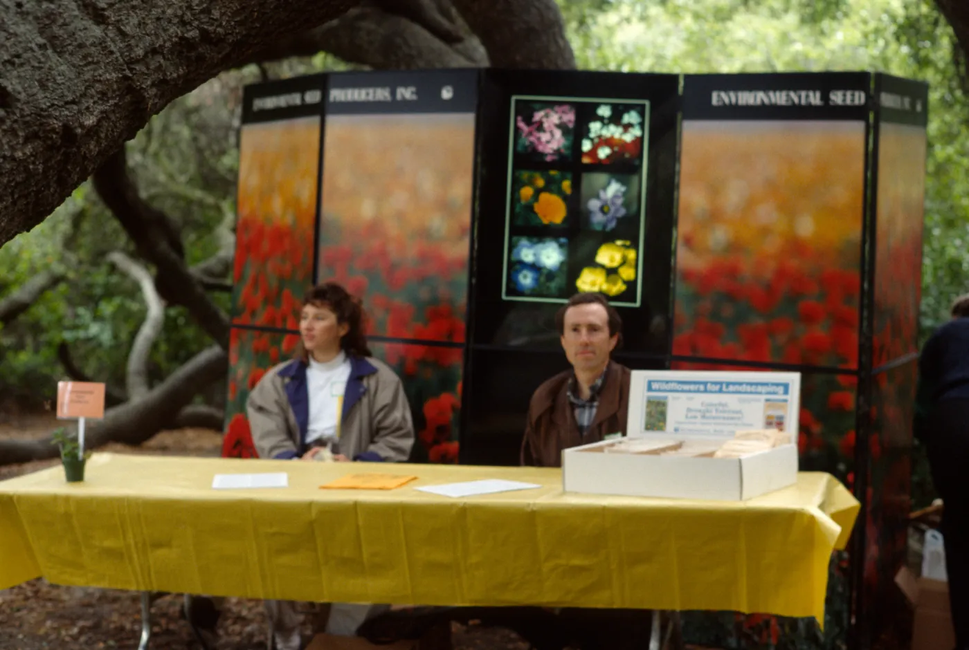 Wildflower Day 1993