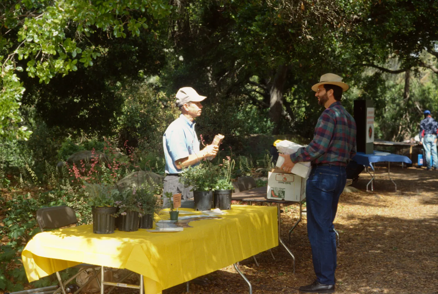 Wildflower Day 1993