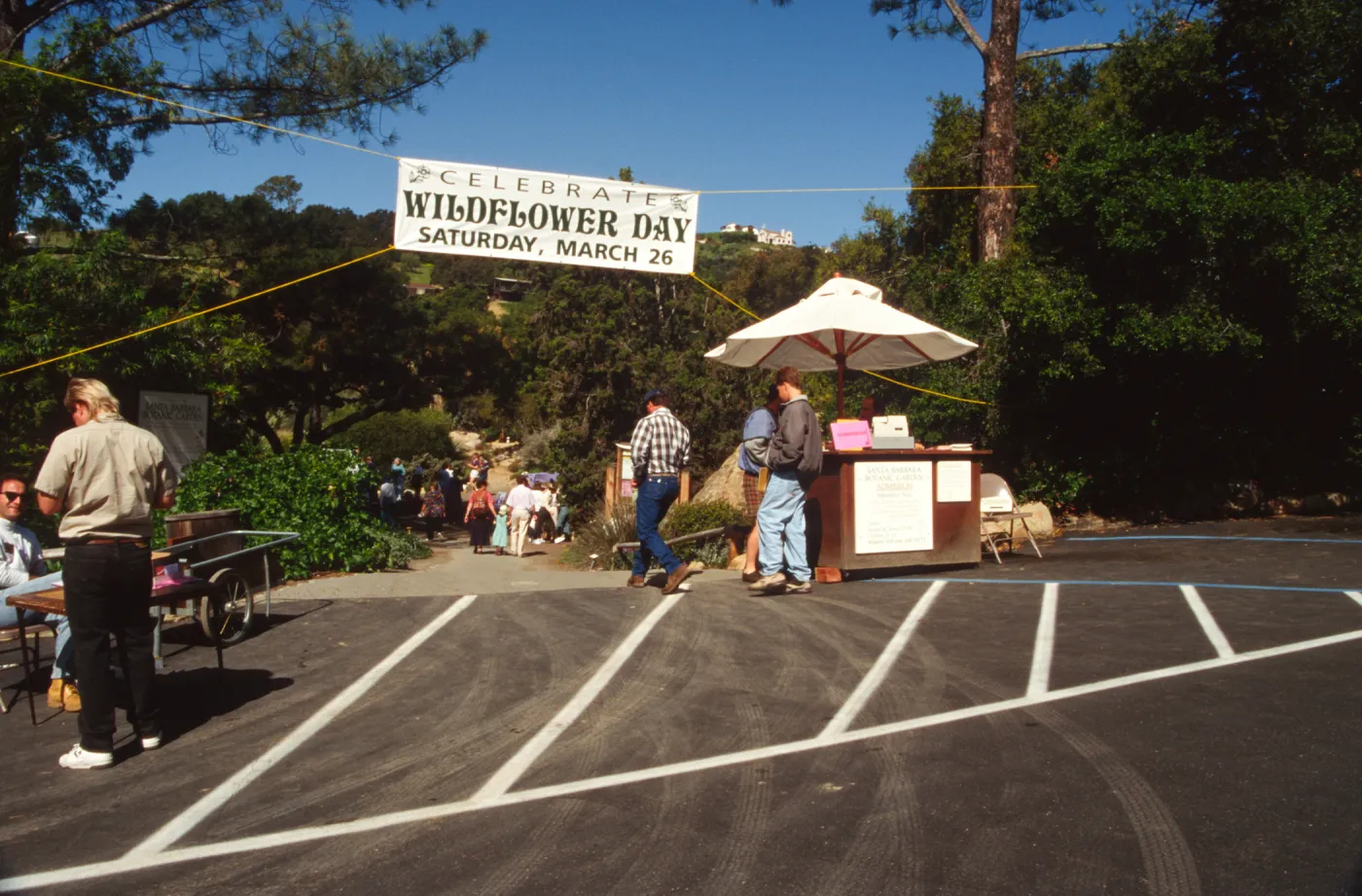 Wildflower Day 1994