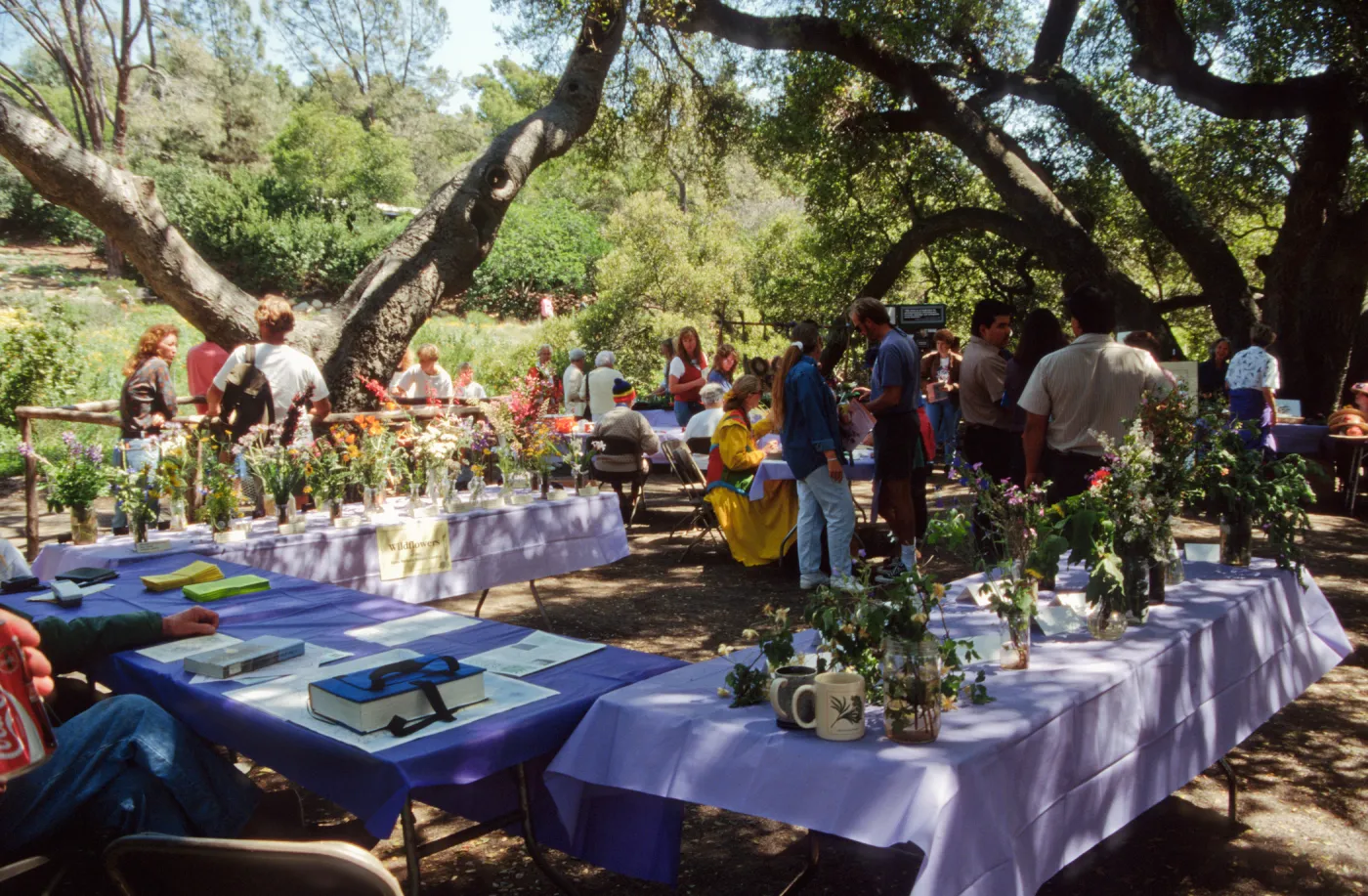 Wildflower Day 1994