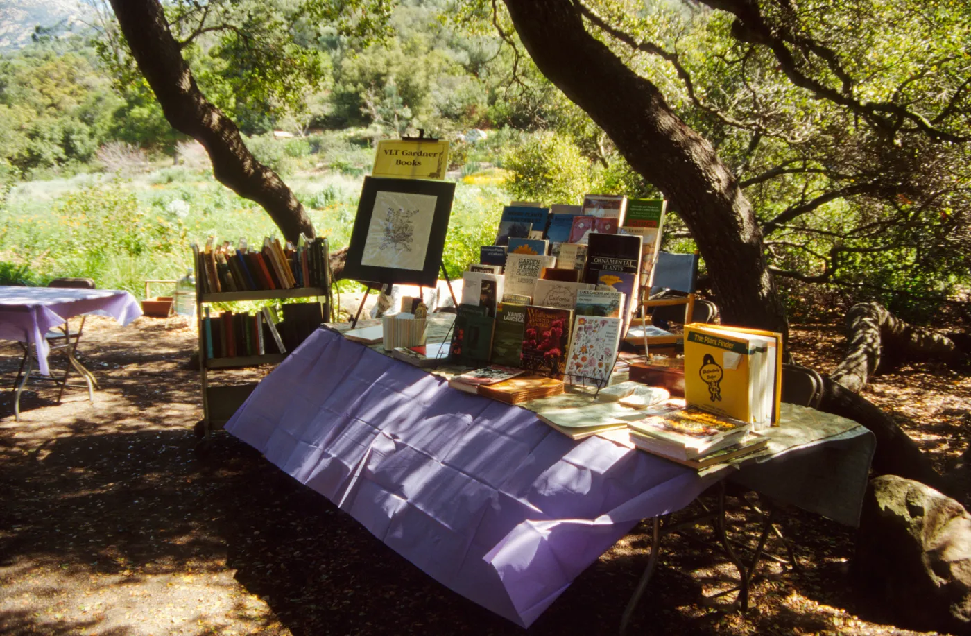 Wildflower Day 1994