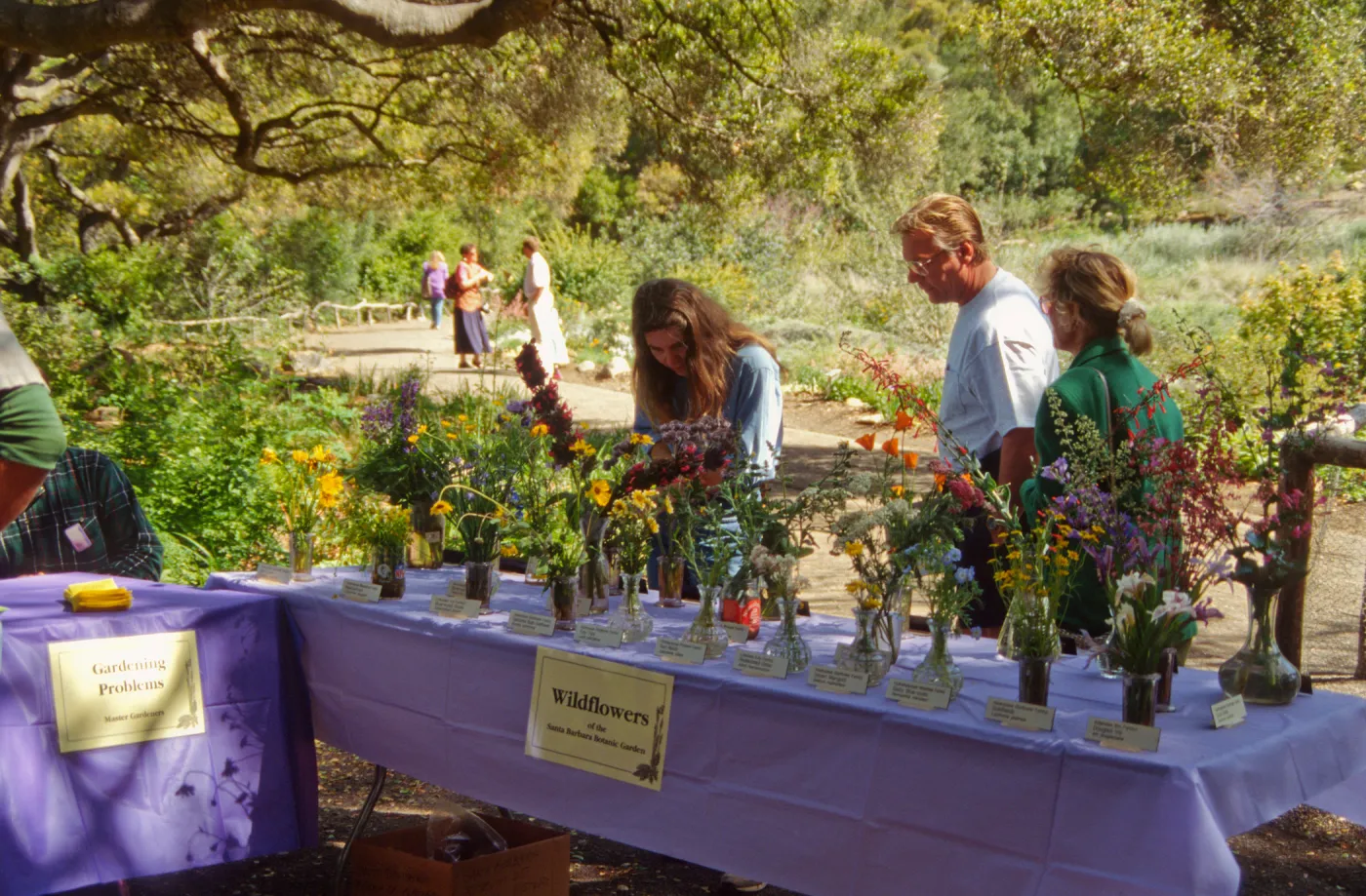 Wildflower Day 1994