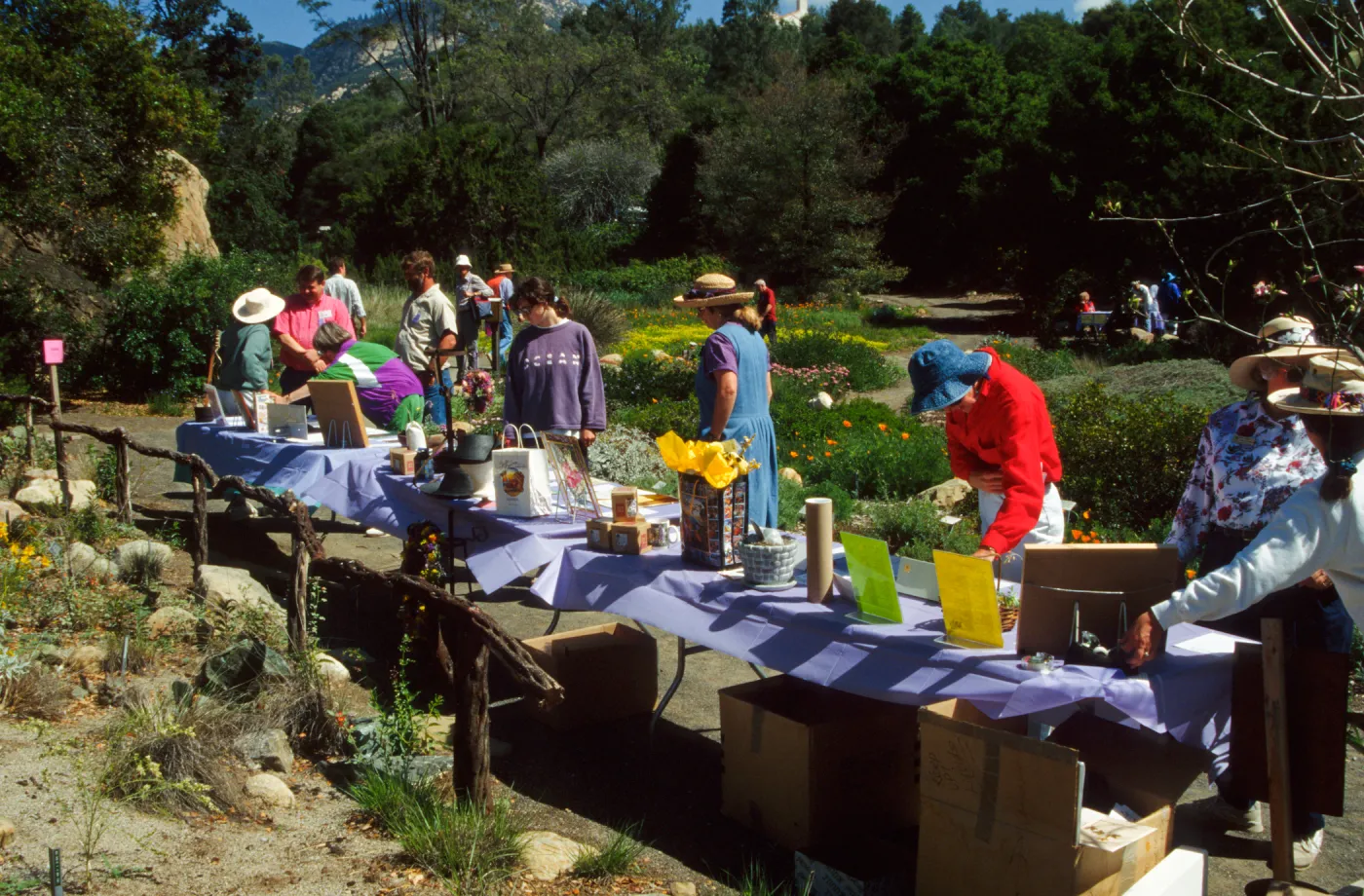 Wildflower Day 1994