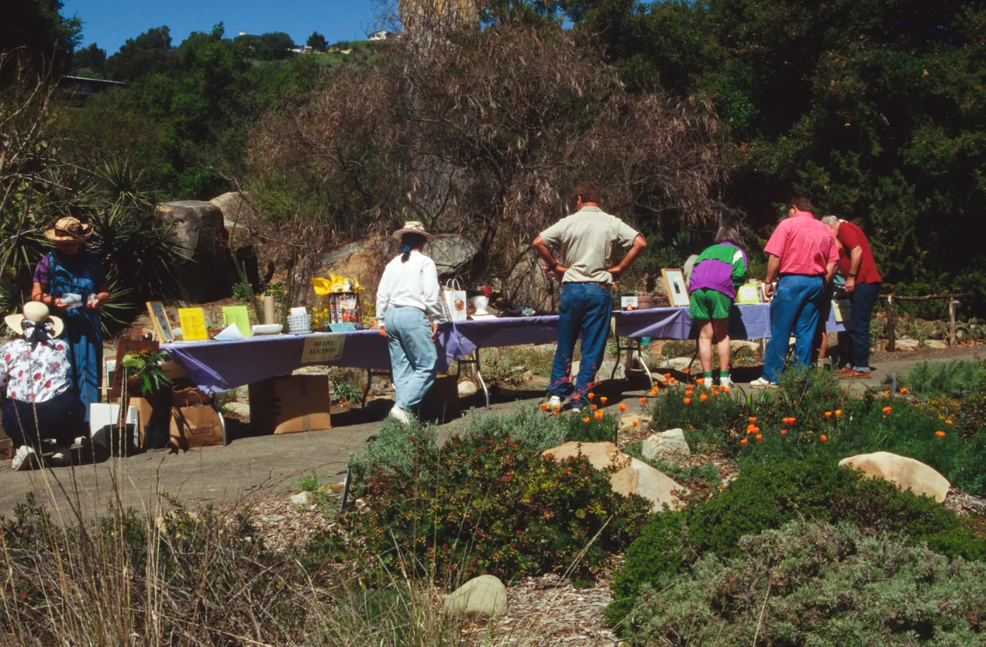 Wildflower Day 1994