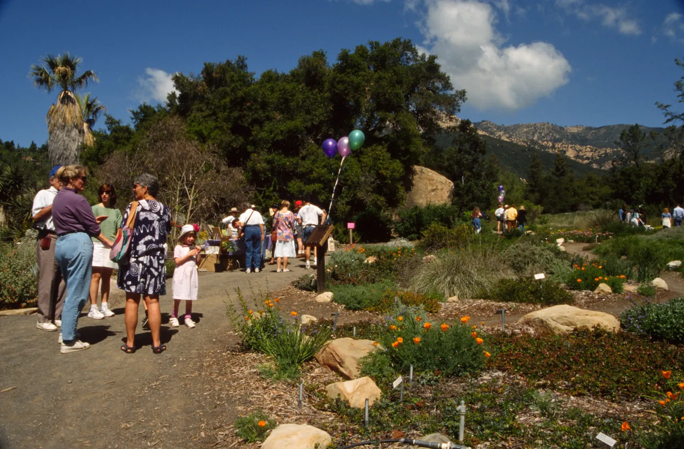 Wildflower Day 1994