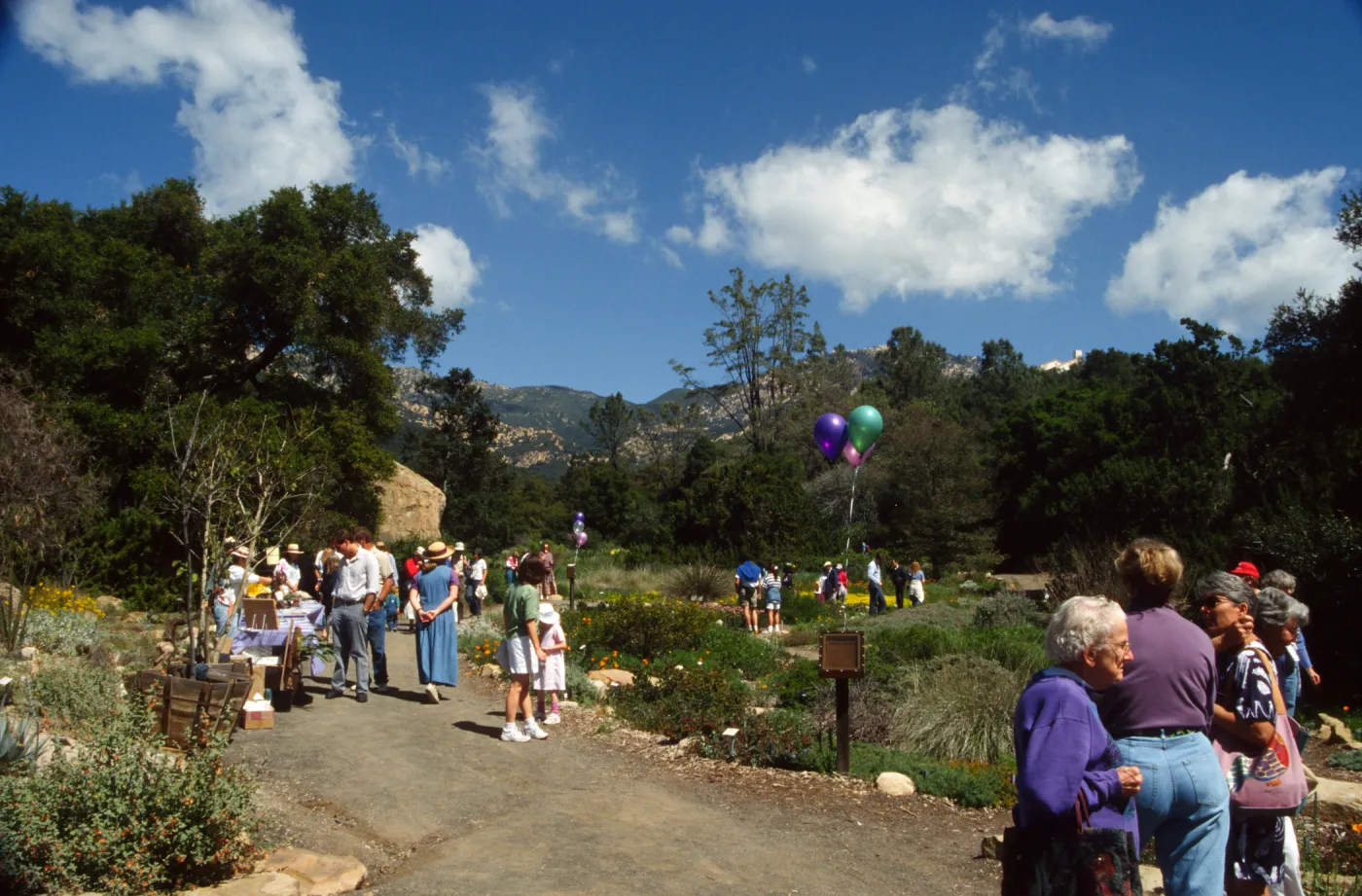 Wildflower Day 1994