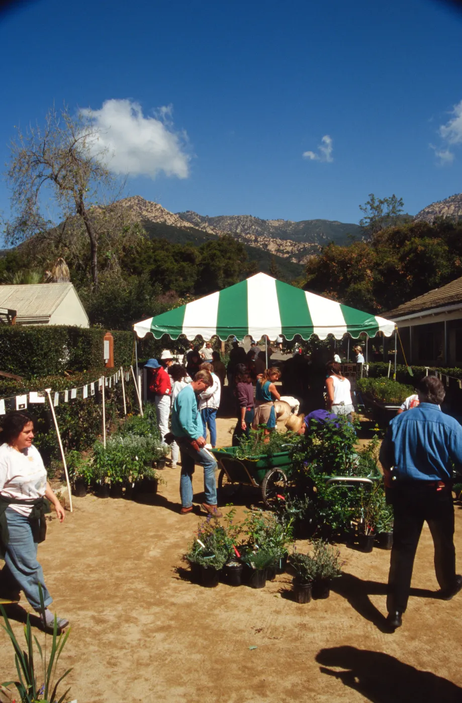 Wildflower Day 1994