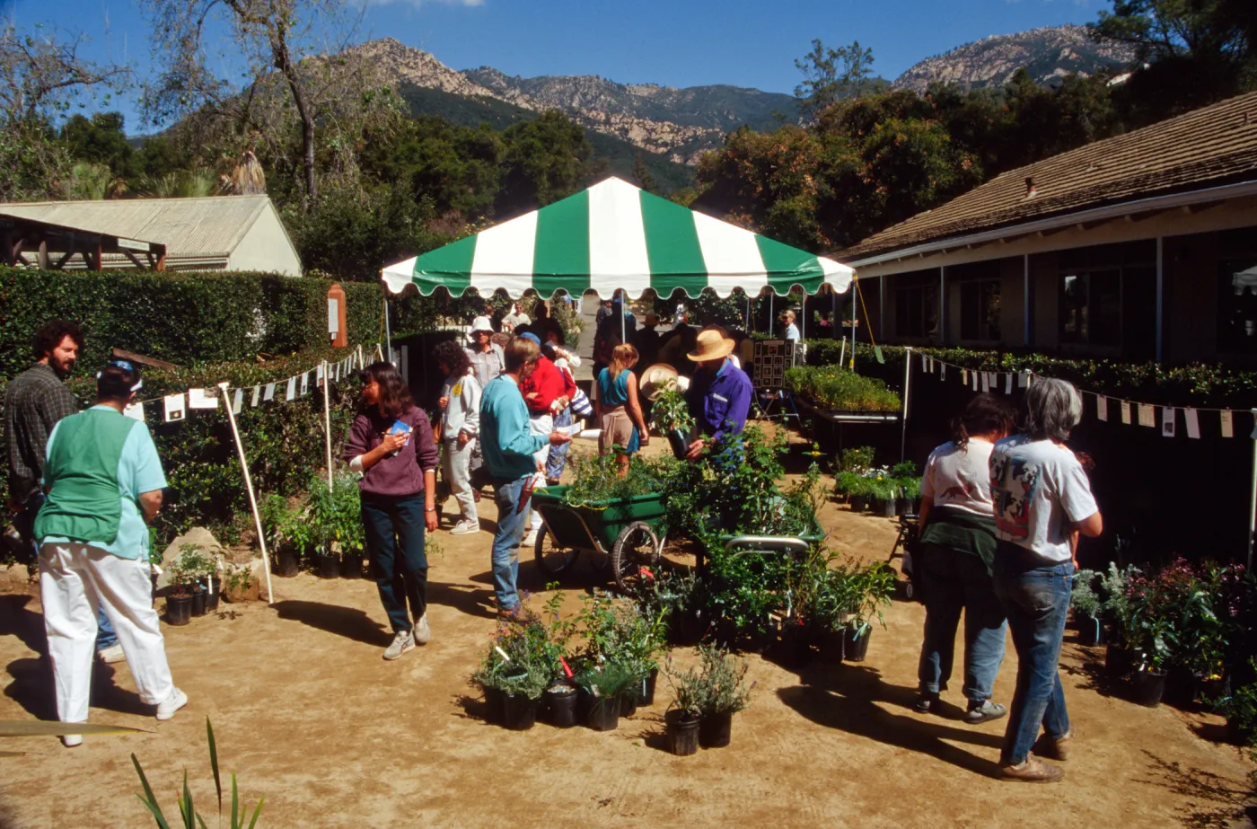 Wildflower Day 1994