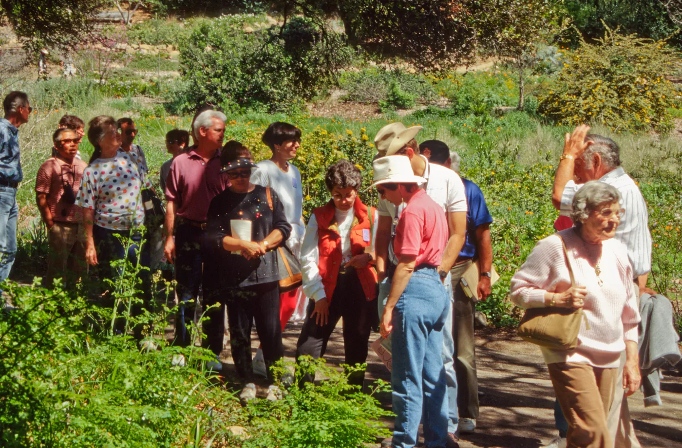 Wildflower Day 1994