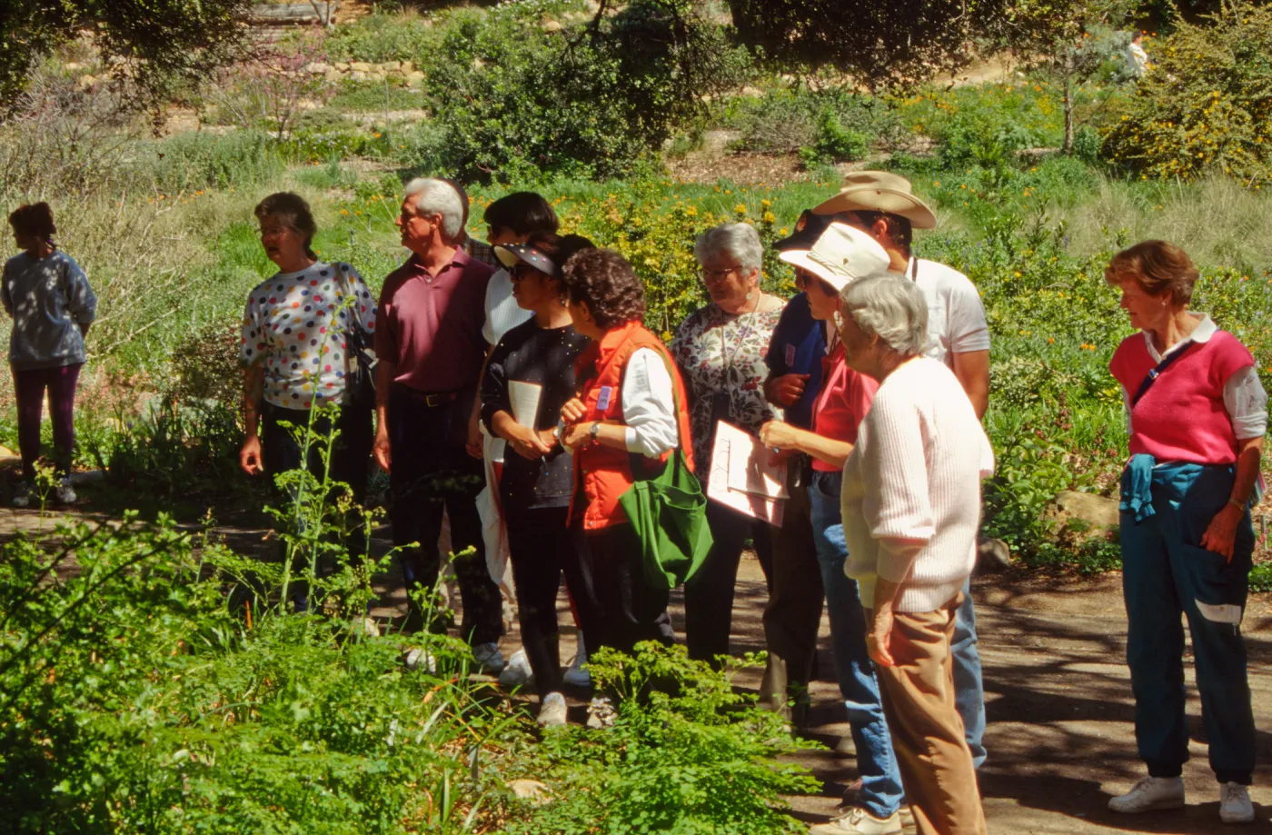 Wildflower Day 1994