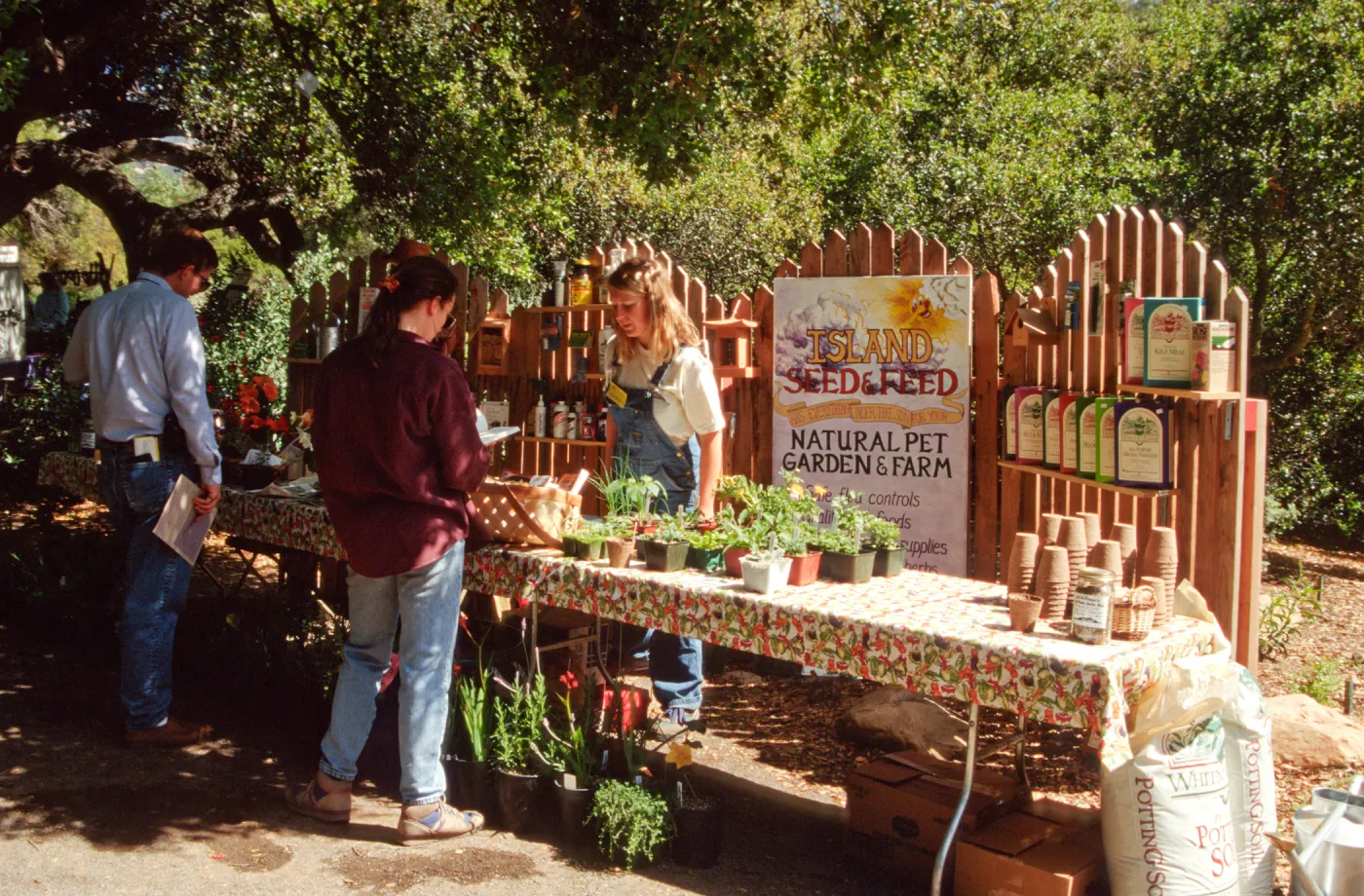 Wildflower Day 1994