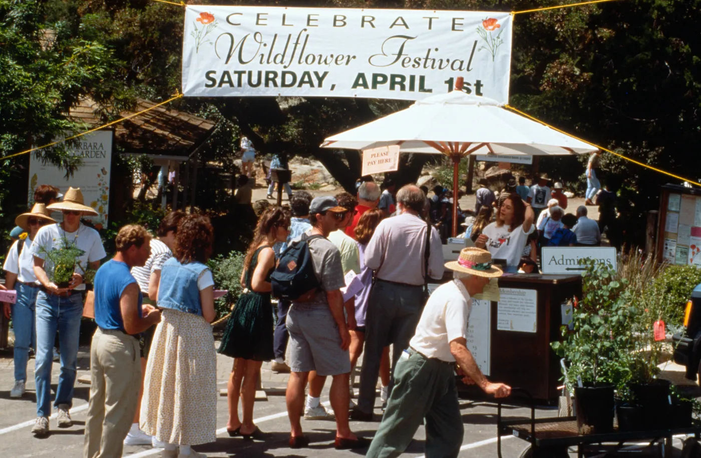 Wildflower Festival 1995