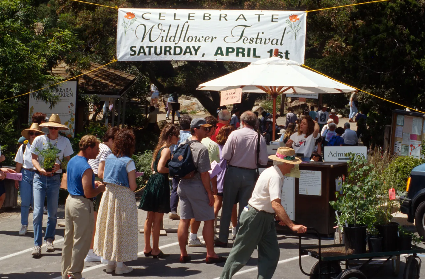 Wildflower Festival 1995