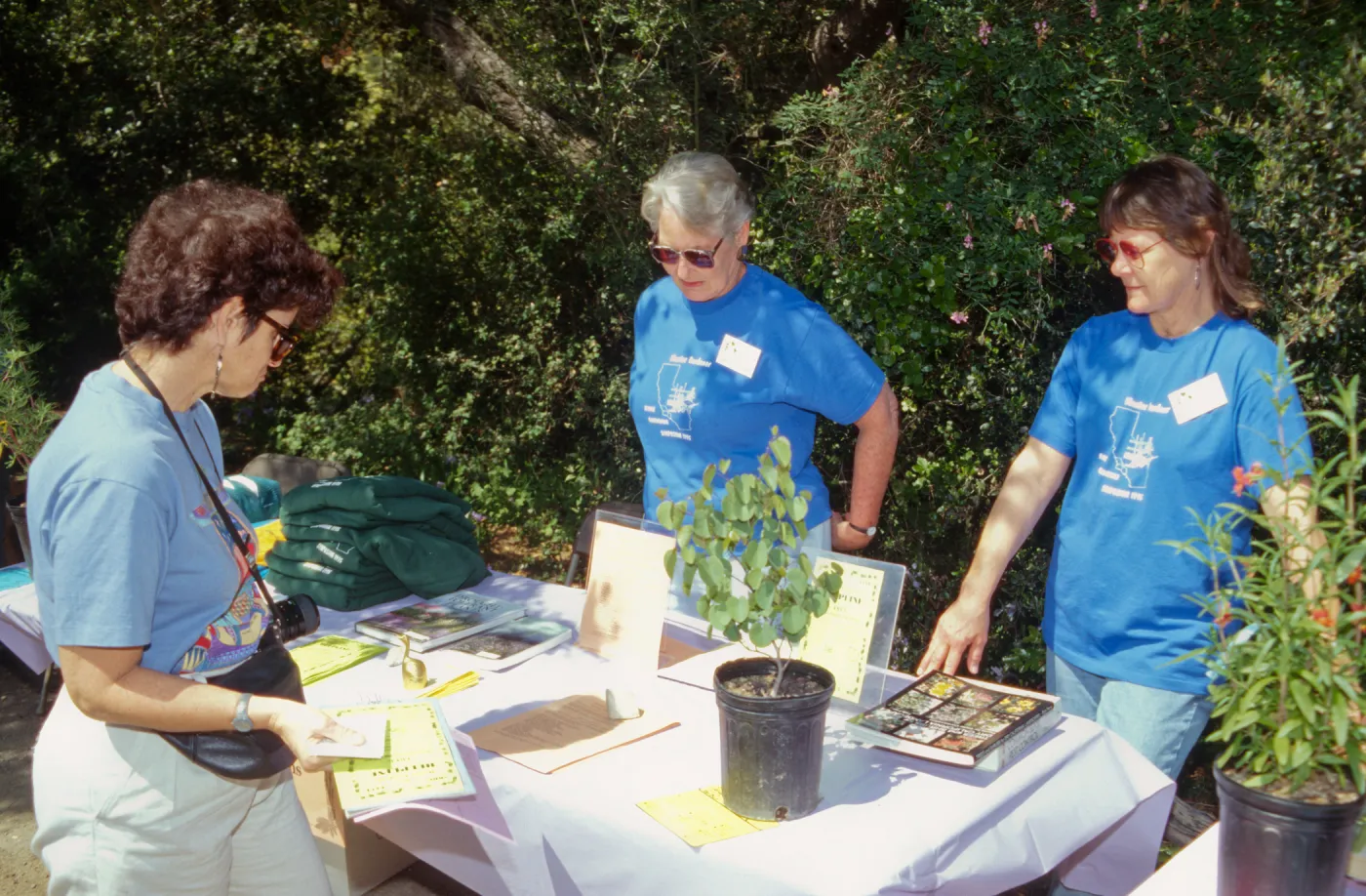 Wildflower Festival 1995