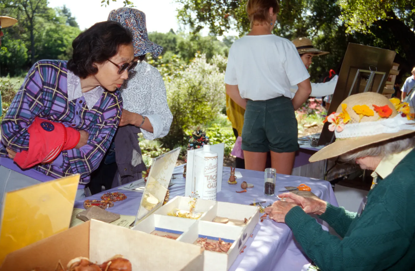 Wildflower Festival 1995