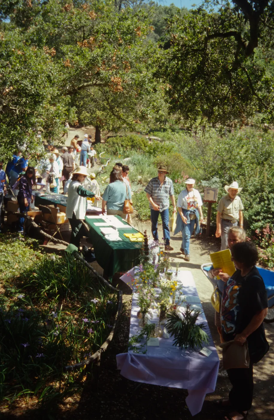 Wildflower Festival, 1995