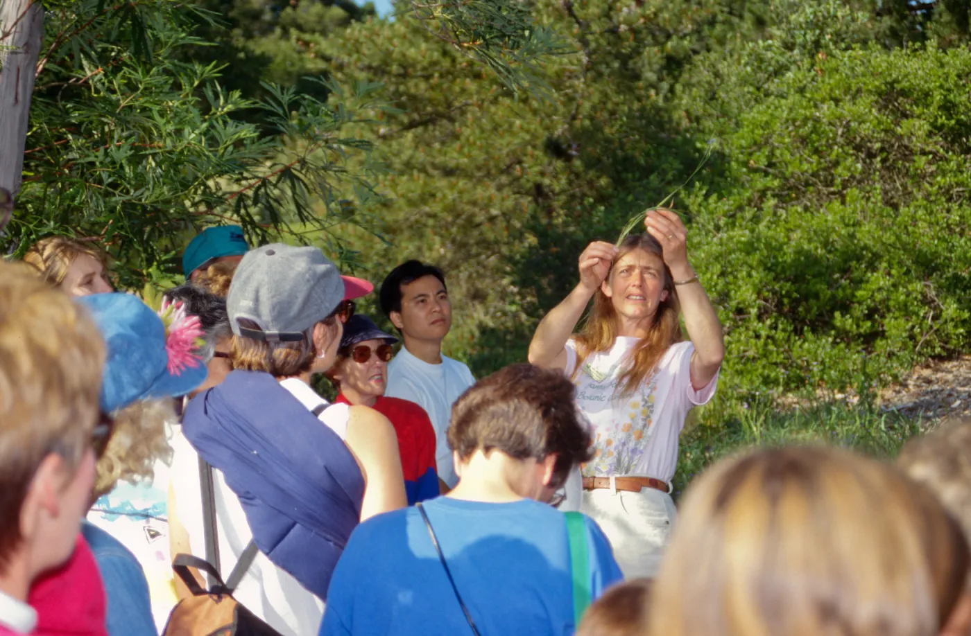 Wildflower Festival 1995