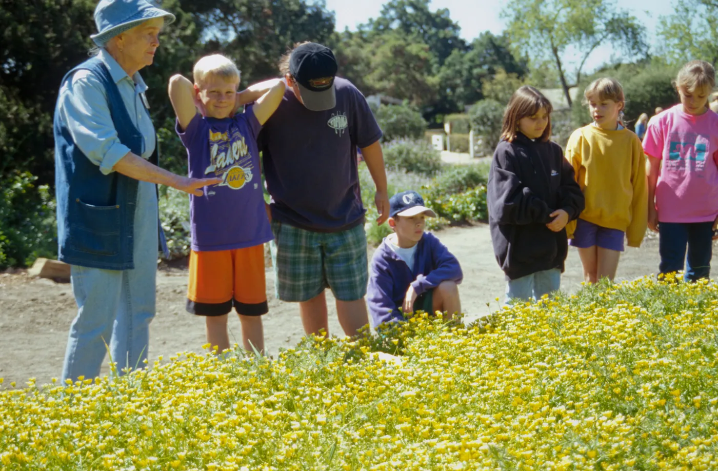 Wildflower Festival 1995